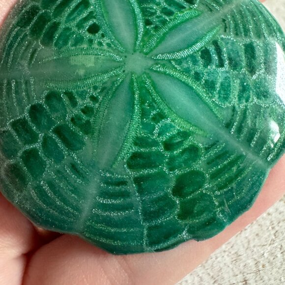 Resin Coated Sand Dollar Pin Brooch - Picture 4 of 8